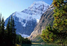 网上买球怎么买 -货车撞树司机被困，长沙县消防来解围