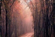 手机外围下载 -中国女排集训近四周 主教练赵勇肯定球队状态