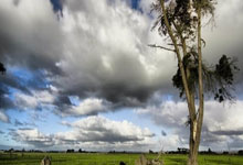 网上买球怎么买 -山西汾酒一季度报发布，数据背后价值几何？关键锁定这些核心要素