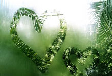  -鄭(zhèng)州“文博盛宴”抢先看