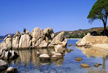 世界杯外围官网 -全国农産(chǎn)品批发市场猪肉平均价格为15.19元/公斤，比(bǐ)昨天(tiān)上(shàng)升0.6%